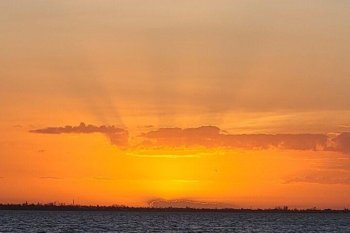 Fort Myers Beach Sunset and Dolphin Watching Cruise
