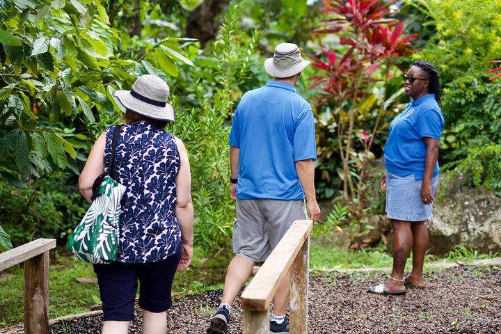 Grenada Nature and Heritage Escape Private Tour with Pickup