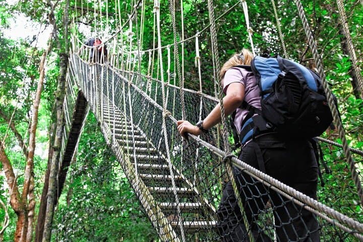 Kuala Lumpur: Taman Negara National Park Trek & Boat Ride