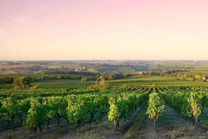 Côte de Nuits Half Day Wine Tour from Dijon