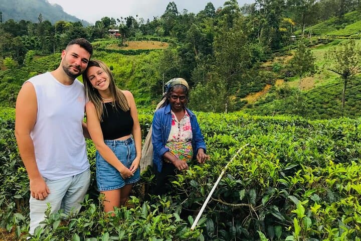 Ultimate 8-Day Sri Lanka Adventure: Private Guided Tour