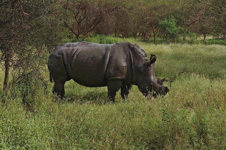 Discover Bandia Safari and The Pink Lake : 2 partcipants Minimum