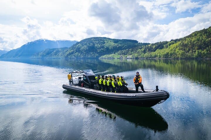 Osafjord RIB Safari from Ulvik: Waterfalls & Hardangerfjord Views