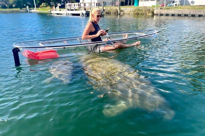 Crystal River: Three Sisters Manatee Clear Kayak Tour Free Photos