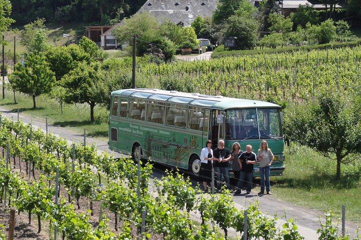 Wine Tour and Cruise Trier Private Tour