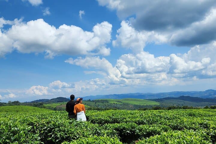 8-Day Rwanda Adventure: Gorilla Trek, Wildlife Safari & Lake Kivu