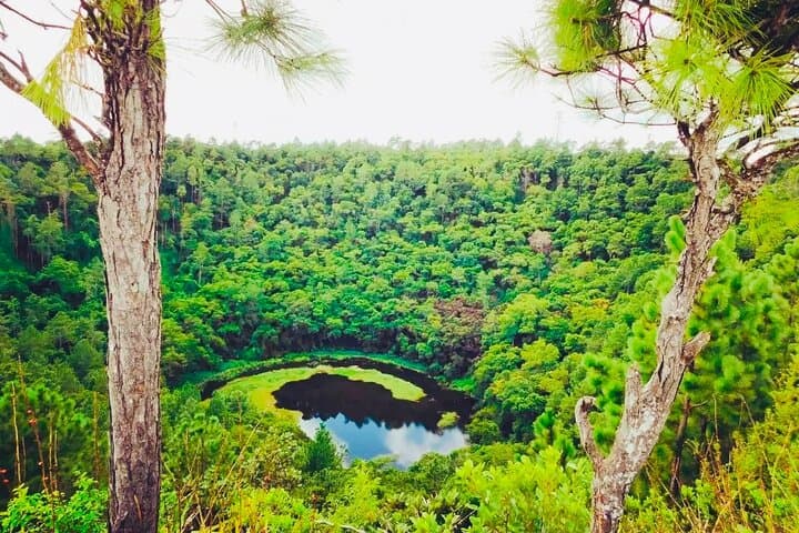 South Mauritius Rhum, Lychee Wine And Tea Tasting Tour