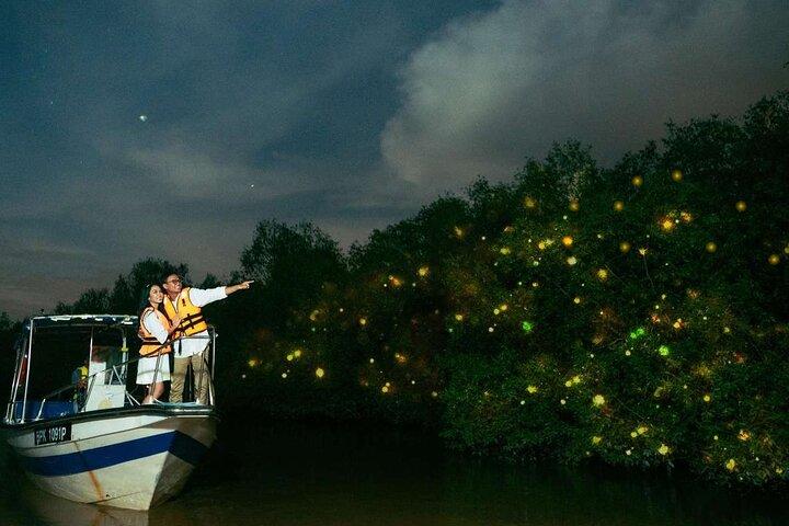 Nature’s Wonders: Kuala Selangor Fireflies & Hot Springs Tour