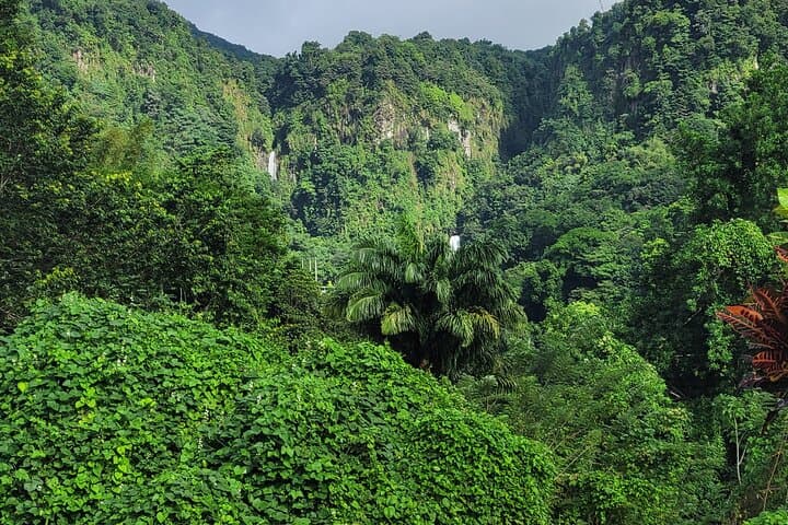 Dominica Scenic Waterfalls and Hot Springs @ Autop Tours