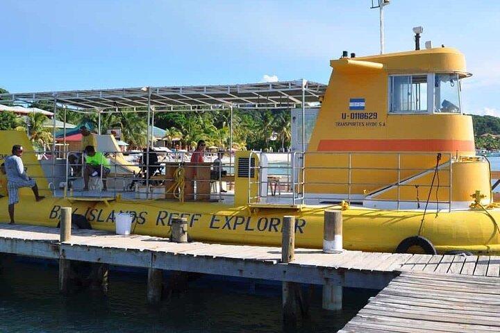 Glass Bottom Boat, WildLife, Chocolate, Rum Tasting Combo