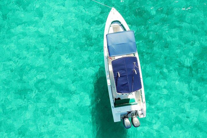 Rose Island Tour Nassau – Pigs, Turtles, Snorkel (Private Group)