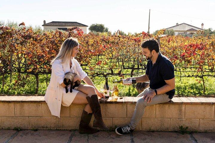 Malaga Organic Vineyard and Winery Six Wines Tapas and Transfer
