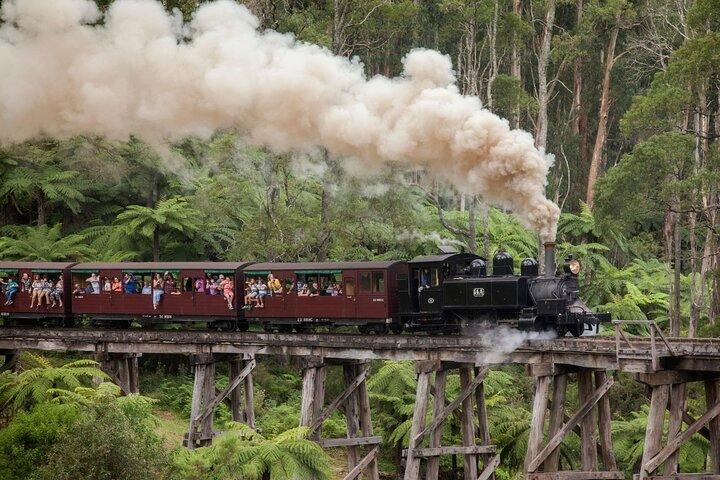 Puffing Billy Steam Train Experience