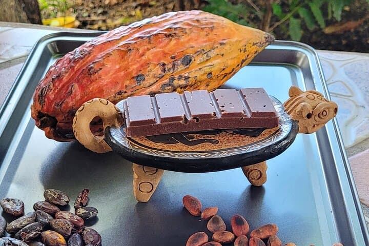 2 Hour Coffee & Chocolate Tour in Playas del Coco