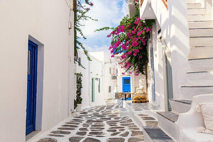 Unforgettable Mykonos Small Group Shore Trip for Cruise Ships