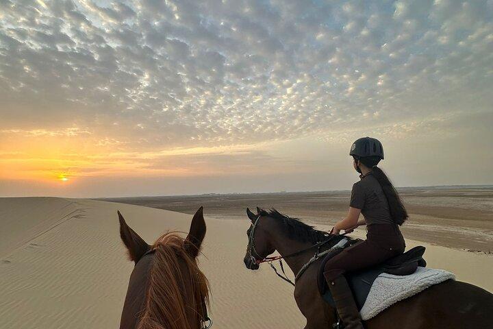 Doha Arabian Horseback Riding Adventure in Desert with Transfers
