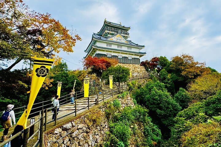 2 Hour Private Scenic Mountain Castle Tour in Gifu