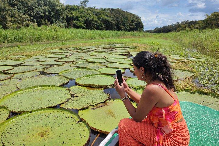Amazon River, Afternoon and Night Adventure, Boat Tour