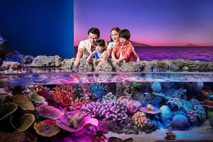 SEA LIFE Bangkok Ocean World and Madame Tussauds Tickets