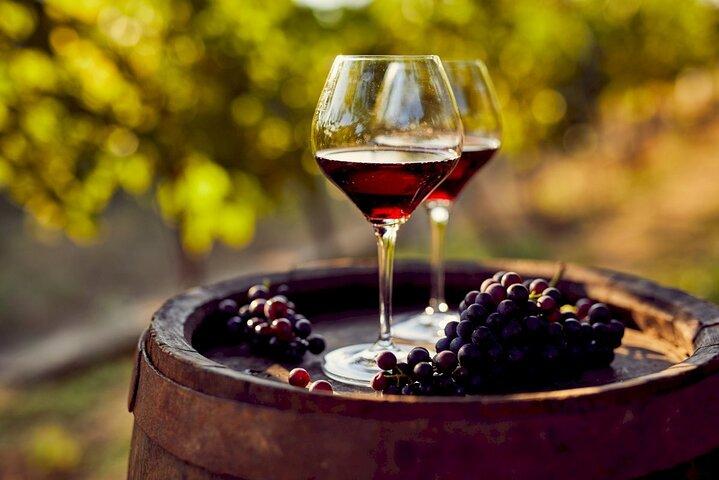 Explore Gaillac Wines Private Half Day Tour From Toulouse