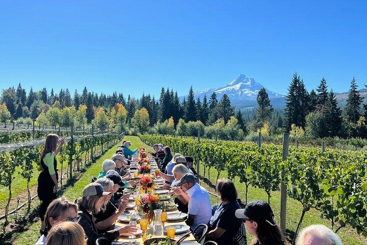 Full-Day Mt Hood Waterfall Tour with Lunch and Wine Included