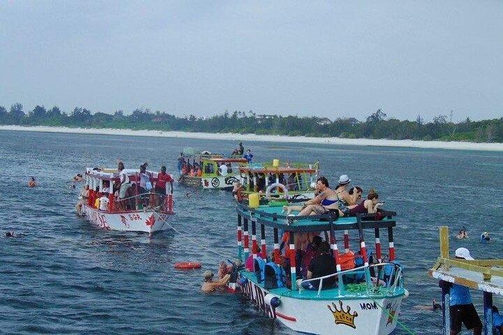 Full-Day Safari Blue Tour with Snorkeling Dolphins & Island Stop