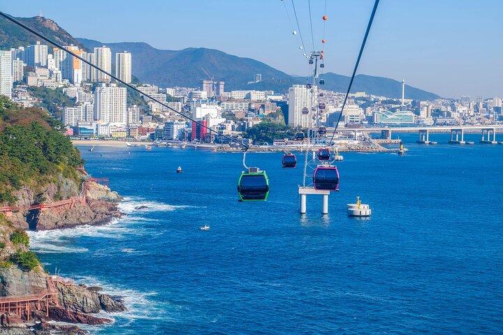 Private Busan Tour with hidden gem of Busan by Local Guide