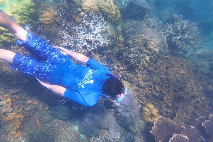 Kayak and Snorkel Tour Half Day