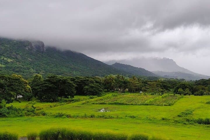 Fiji Private Tour: Best of Nadi Highlights
