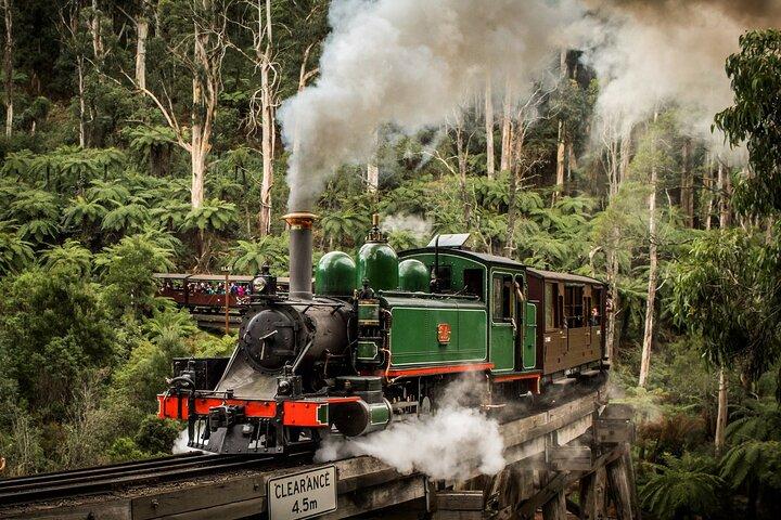 Puffing Billy Train and Phillip Island Penguin Parade Day Tour