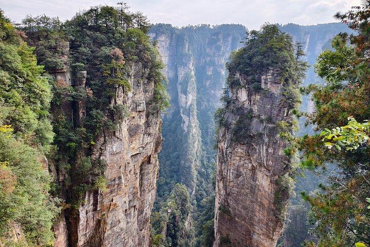 Zhangjiajie National Forest Park Ticket Booking