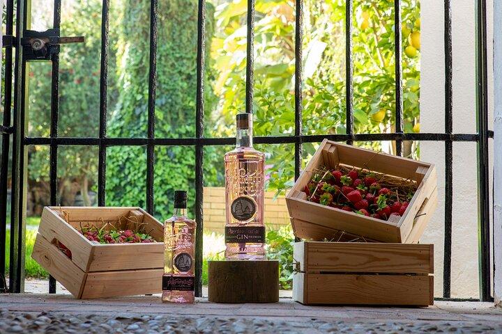 Guided Spanish Tour with 3 GIN Tasting