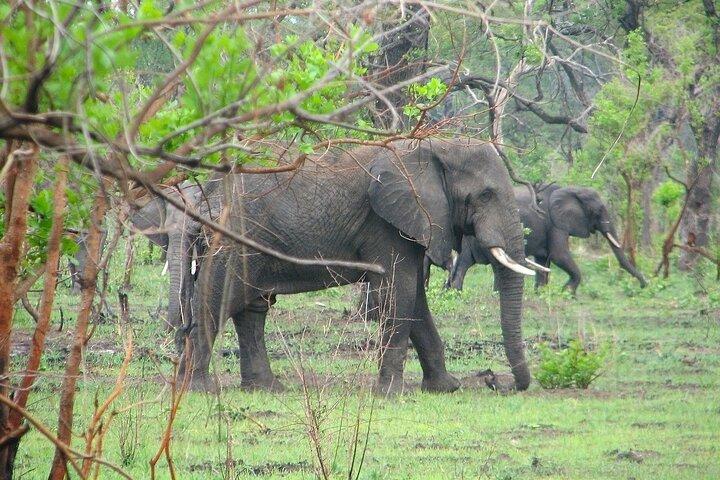 Northern Malawi Safari 7Days/6Nights