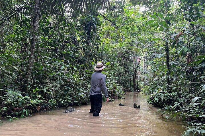 Amazonas Jungle Birdwatching Day Tour
