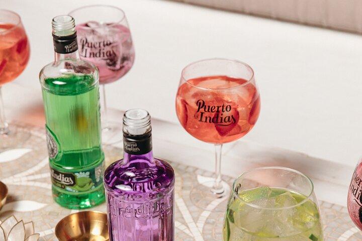 Guided Tour in Spanish with Tasting of 5 GINs and a Gin & Tonic