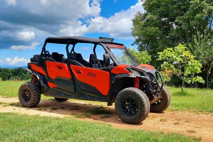 Istra Buggy Family Safari