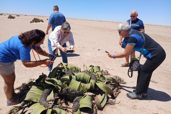Walvis Bay and Swakopmund Treasures in Nambia Private Tour