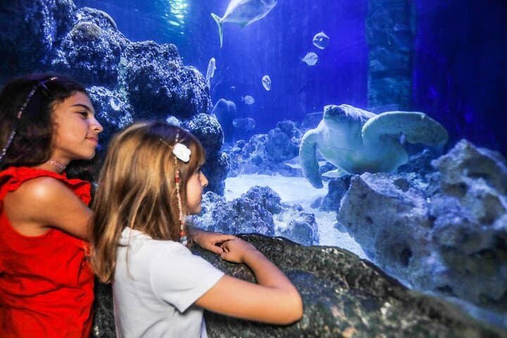 SEA LIFE Oberhausen Admission Ticket