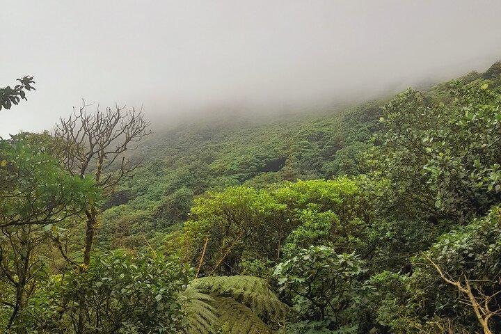 Mombacho Volcano Clouded Forest Trail and Ziplining