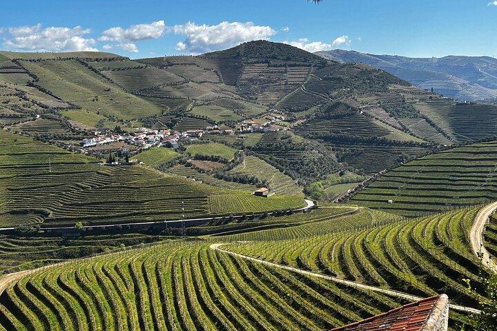 Douro Valley Half-Day Tour with Winery and Lunch From Porto