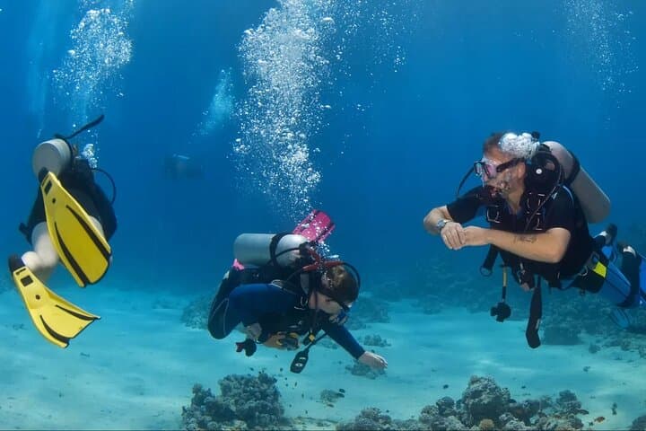Marmaris Scuba Diving with Two Dives, Transfer and Lunch