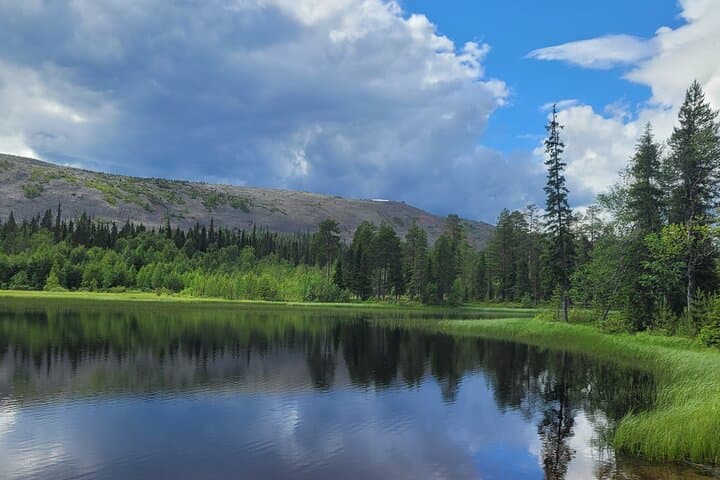 Private Hiking Tour in the Pristine Nature in Pyha Luosto