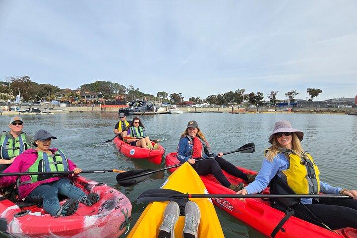 Half Day Dana Point Kayak and Hike with Sea Lion Sightings