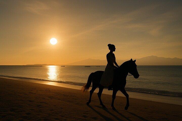Gili Meno Horse Riding Adventure on the Beach for 1 Hour