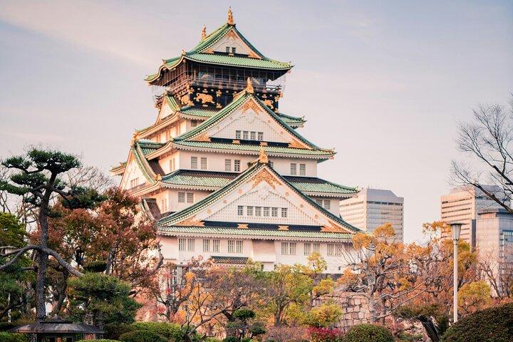 Osaka Private Highlights tour with Guide and Luxury Vehicle