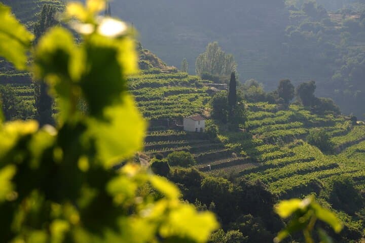 Manolates Hiking with Bus Transfer included