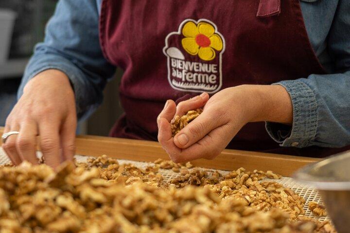 Private immersion visit to the Walnut grove with tasting