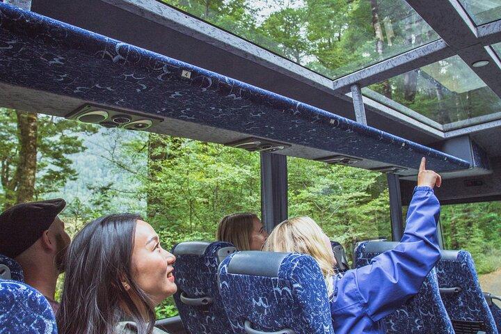 Milford Sound Coach and Cruise tour from Queenstown