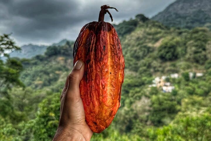 Magic Minca : Waterfalls, Cocoa Workshop and Coffee From Santa Marta