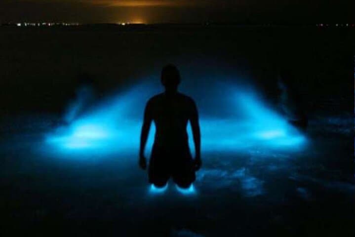 Luminous Lagoon